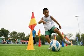 1988年汉城奥运会拳击比赛韩国队的丑陋