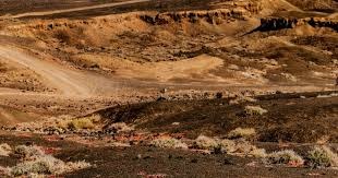 詹姆斯, 16岁的我是无敌的